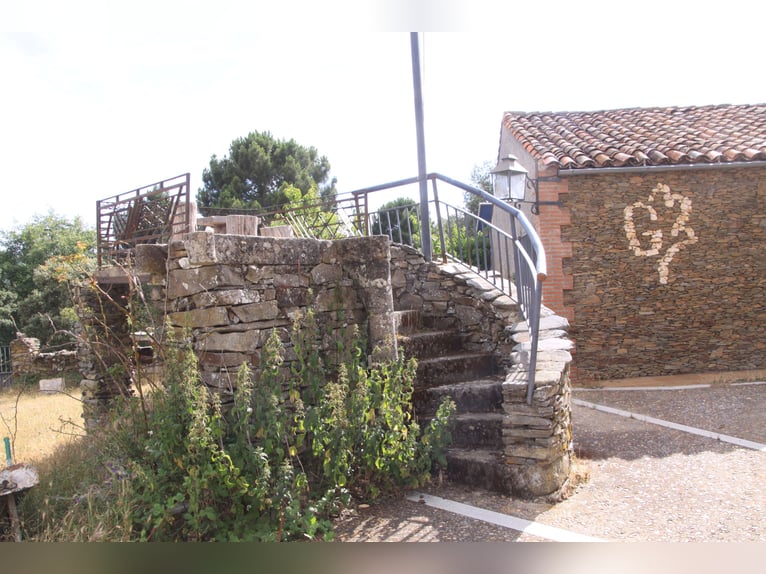 Bellissima finca con cortijo a Salamanca – 200 ettari