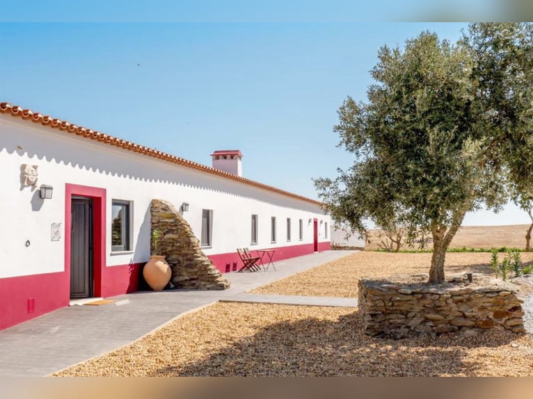 Bellissima proprietà con vigneti e strutture ricettive per il turismo enogastronomico.