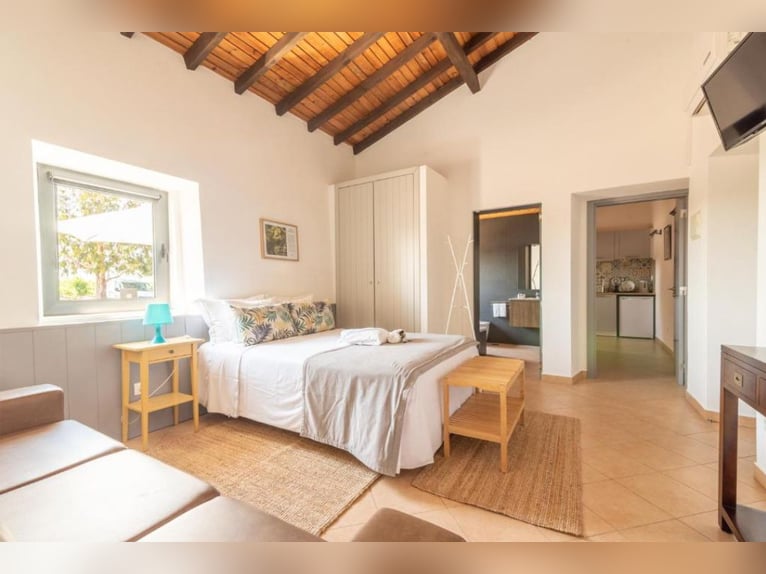 Bellissima proprietà con vigneti e strutture ricettive per il turismo enogastronomico.