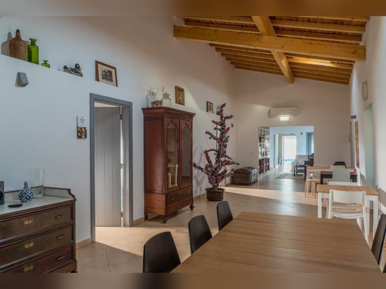 Bellissima proprietà con vigneti e strutture ricettive per il turismo enogastronomico.