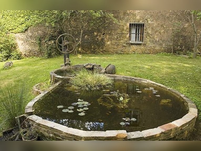 Bellissima proprietà nel sud della Spagna, vicino a Siviglia.