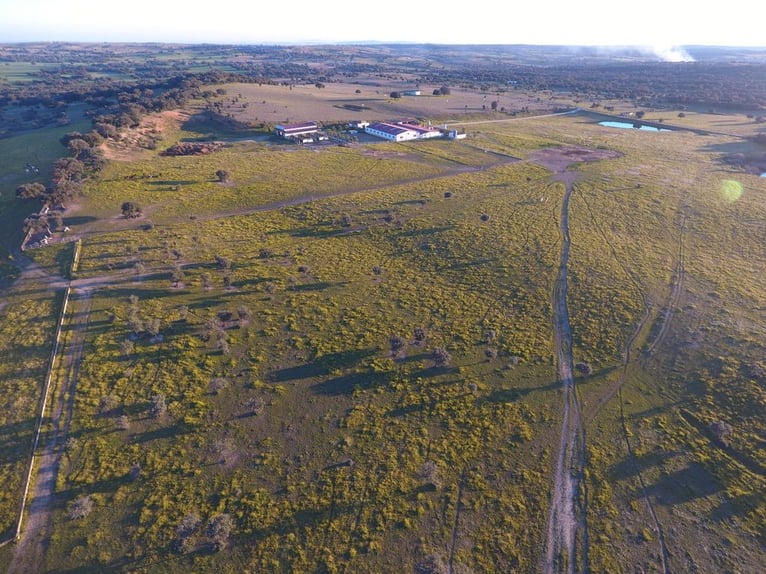 Bellissima tenuta per cavalli completamente attrezzata