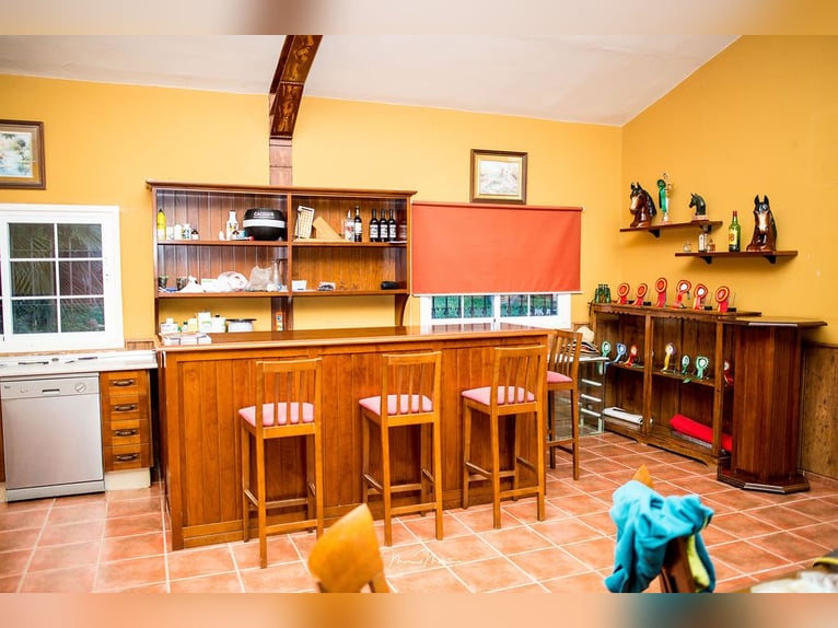 Bellissima tenuta per cavalli completamente attrezzata