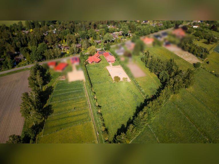 Bellissima tenuta rurale per gli amanti dei cavalli