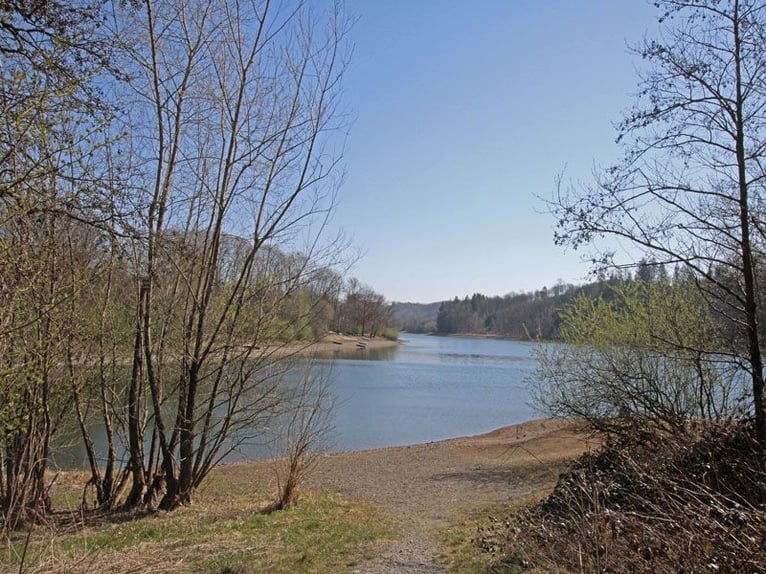 Benvenuti con i vostri cavalli nella vostra nuova casa!