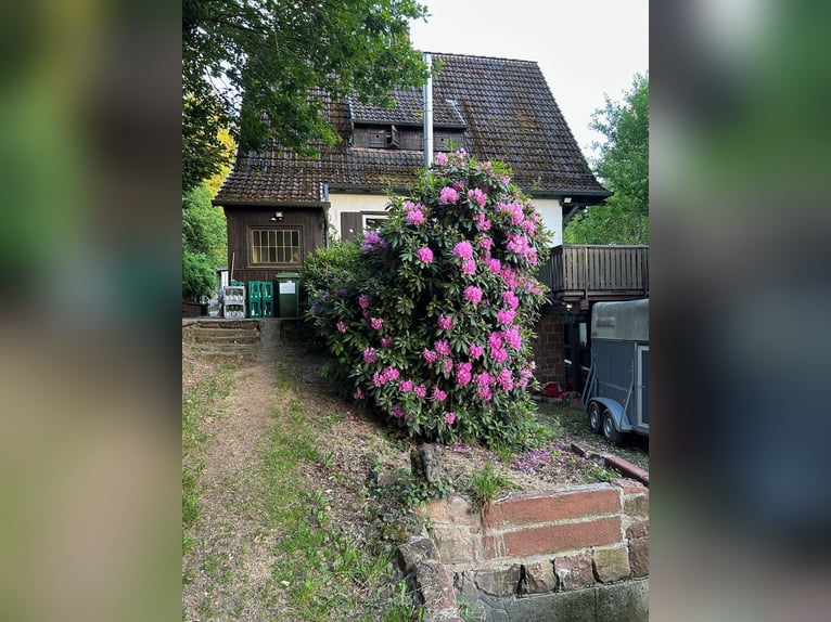 Casa con stalla, round pen e campo da salto in posizione tranquilla ai margini del paese