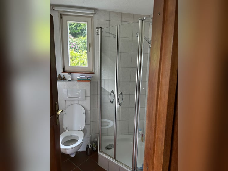 Casa con stalla, round pen e campo da salto in posizione tranquilla ai margini del paese