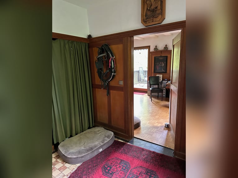 Casa con stalla, round pen e campo da salto in posizione tranquilla ai margini del paese
