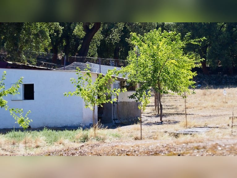 Casa di campagna completamente attrezzata con piscina