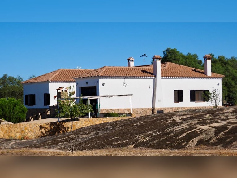 Casa di campagna completamente attrezzata con piscina