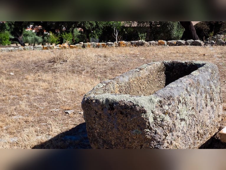 Casa di campagna completamente attrezzata con piscina