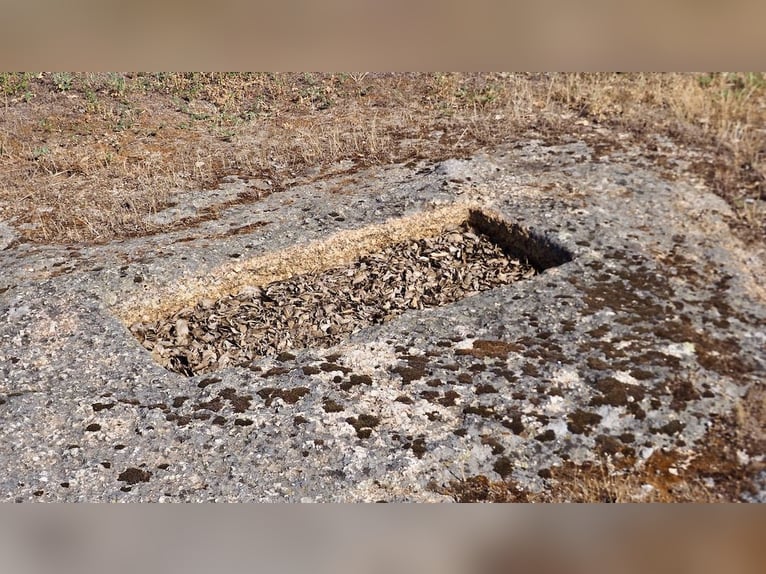 Casa di campagna completamente attrezzata con piscina
