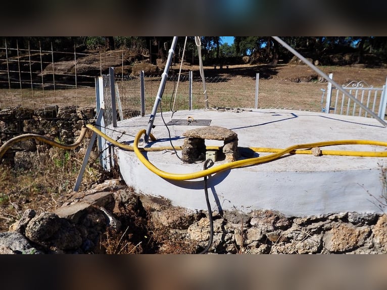 Casa di campagna completamente attrezzata con piscina