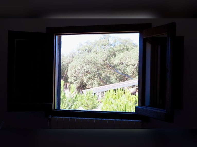 Casa di campagna completamente attrezzata con piscina