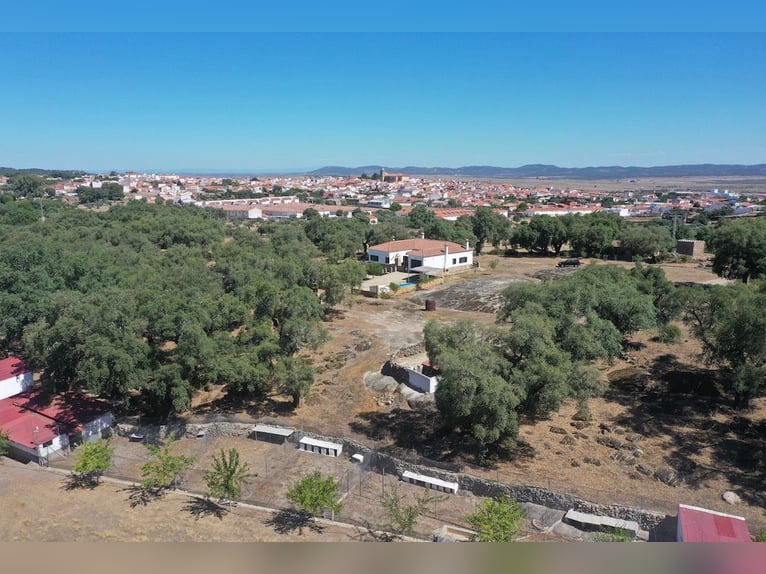 Casa di campagna completamente attrezzata con piscina