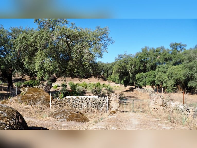 Casa di campagna completamente attrezzata con piscina