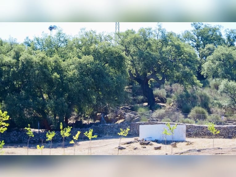 Casa di campagna completamente attrezzata con piscina