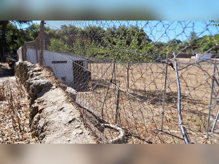 Casa di campagna completamente attrezzata con piscina