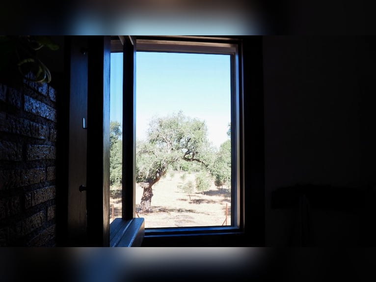 Casa di campagna completamente attrezzata con piscina