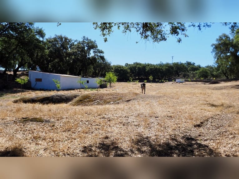 Casa di campagna completamente attrezzata con piscina