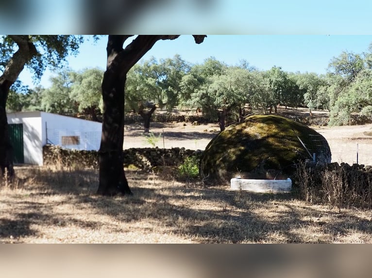 Casa di campagna completamente attrezzata con piscina