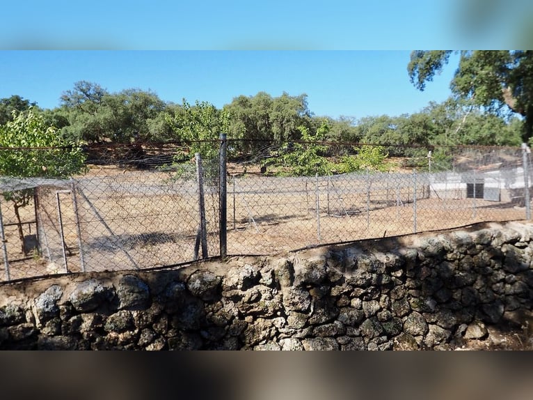 Casa di campagna completamente attrezzata con piscina