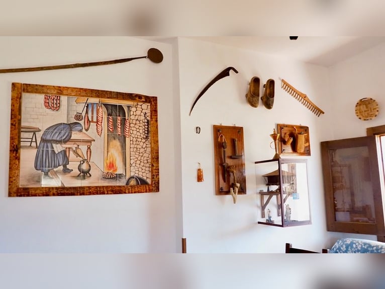 Casa di campagna completamente attrezzata con piscina