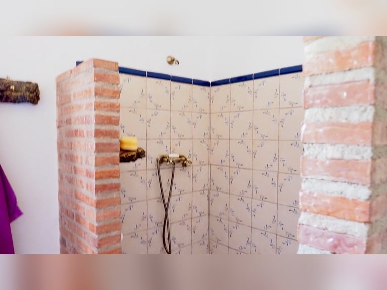 Casa di campagna completamente attrezzata con piscina