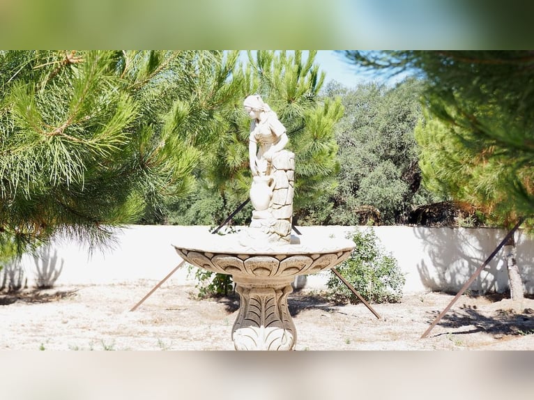 Casa di campagna completamente attrezzata con piscina