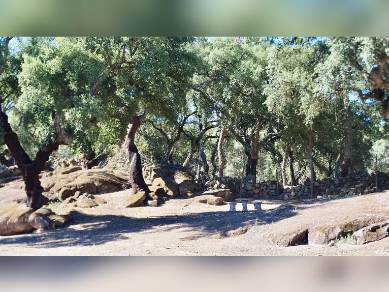 Casa di campagna completamente attrezzata con piscina