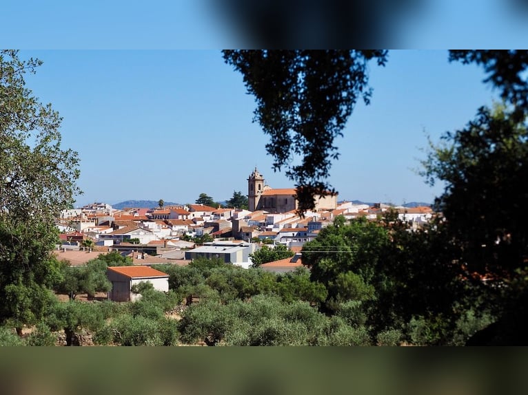 Casa di campagna completamente attrezzata con piscina