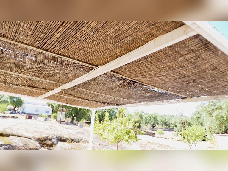 Casa di campagna completamente attrezzata con piscina