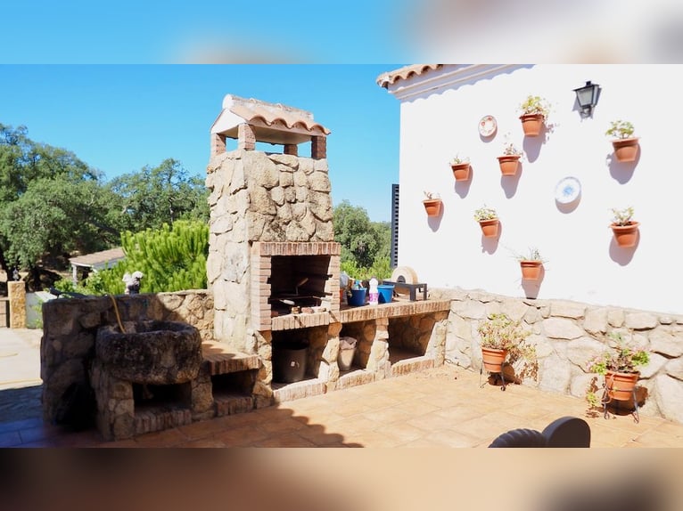 Casa di campagna completamente attrezzata con piscina