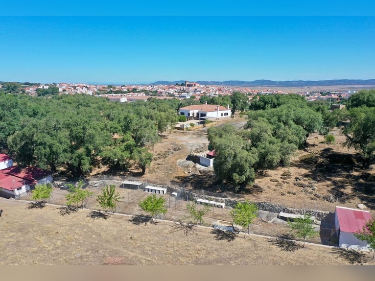 Casa di campagna completamente attrezzata con piscina
