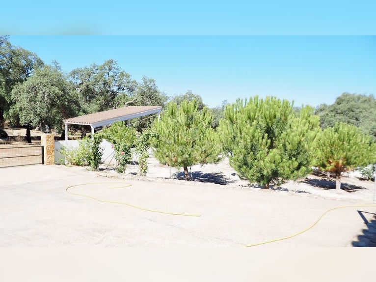 Casa di campagna completamente attrezzata con piscina