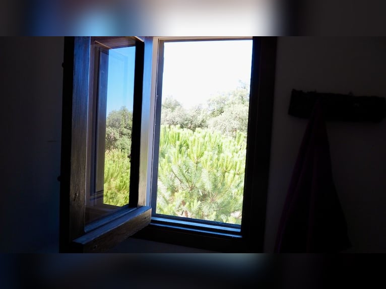 Casa di campagna completamente attrezzata con piscina