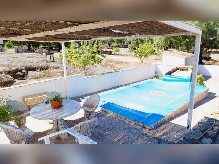 Casa di campagna completamente attrezzata con piscina