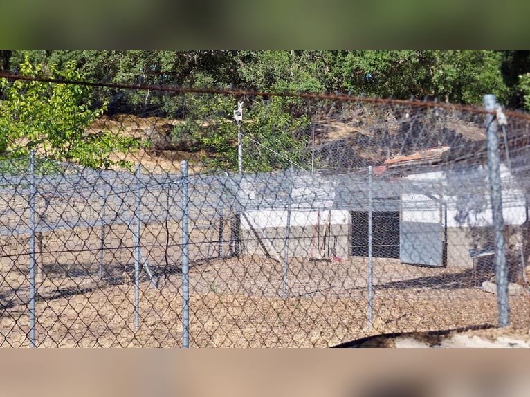 Casa di campagna completamente attrezzata con piscina