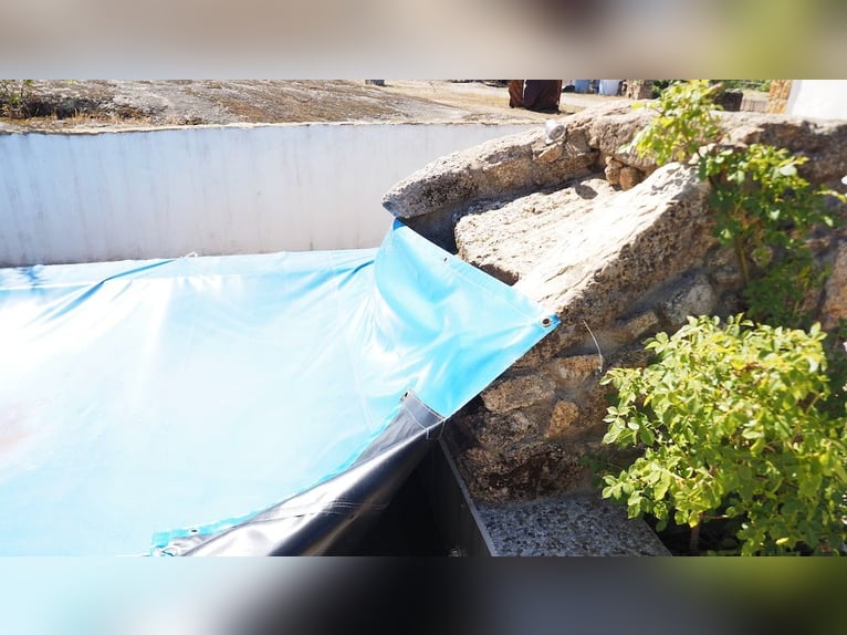 Casa di campagna completamente attrezzata con piscina