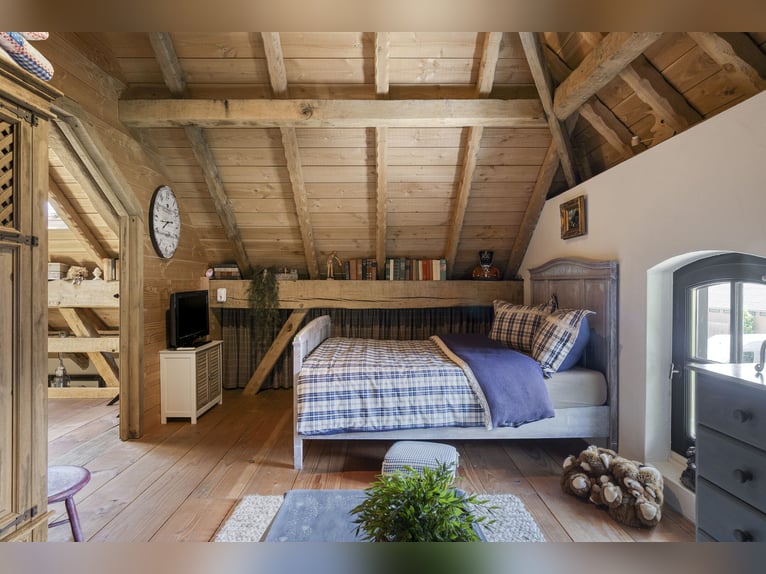 Casa di campagna con struttura per l'allevamento di cavalli, inclusa una pista coperta, una pista al