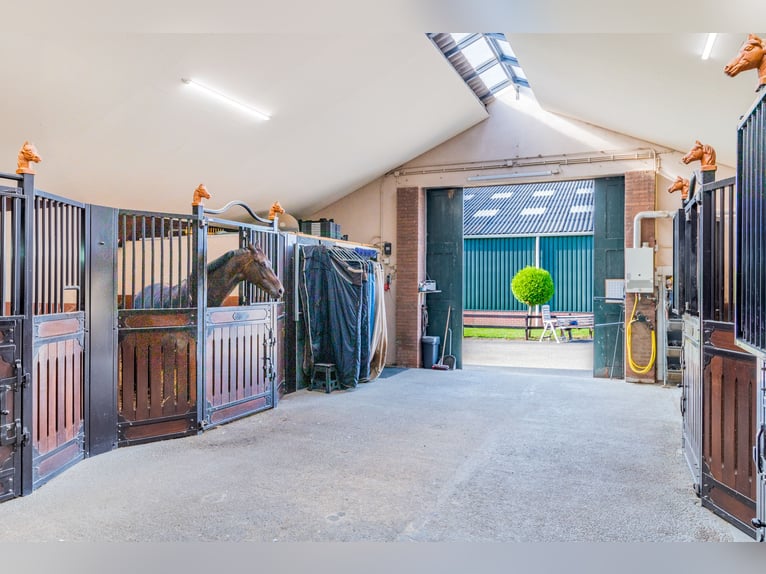 Casa di campagna con struttura per l'allevamento di cavalli, inclusa una pista coperta, una pista al