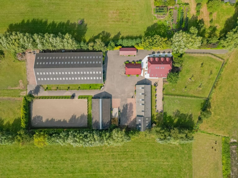 Casa di campagna con struttura per l'allevamento di cavalli, inclusa una pista coperta, una pista al