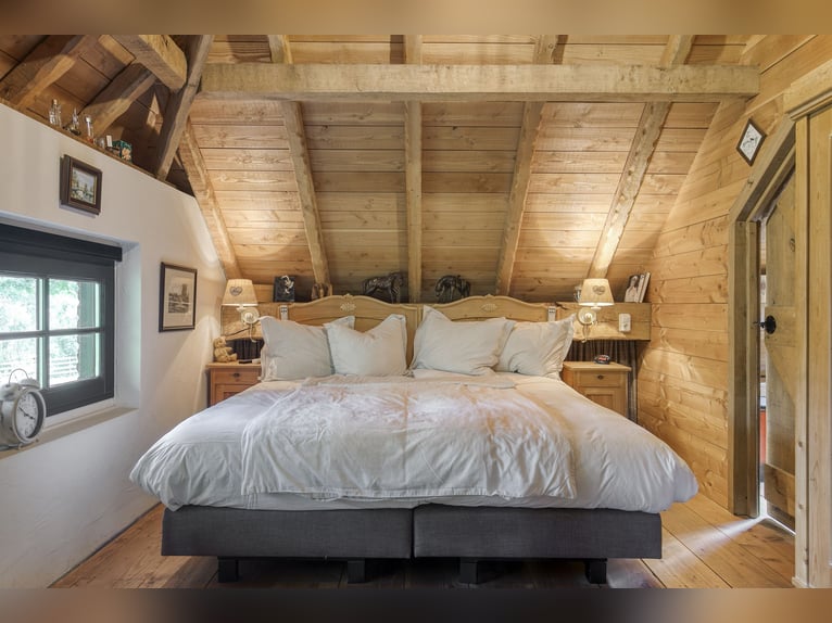 Casa di campagna con struttura per l'allevamento di cavalli, inclusa una pista coperta, una pista al