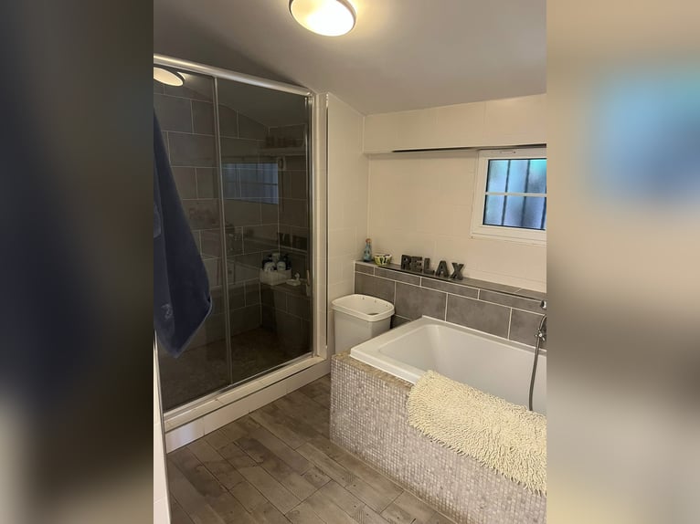 Casa di campagna di lusso con scuderie private - Costa Blanca / Lusso casale con box privati