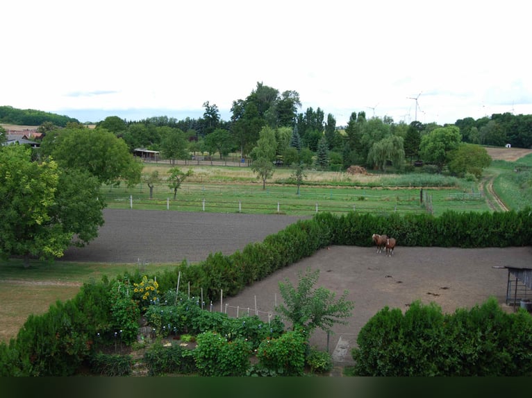 Casa di campagna in posizione esclusiva