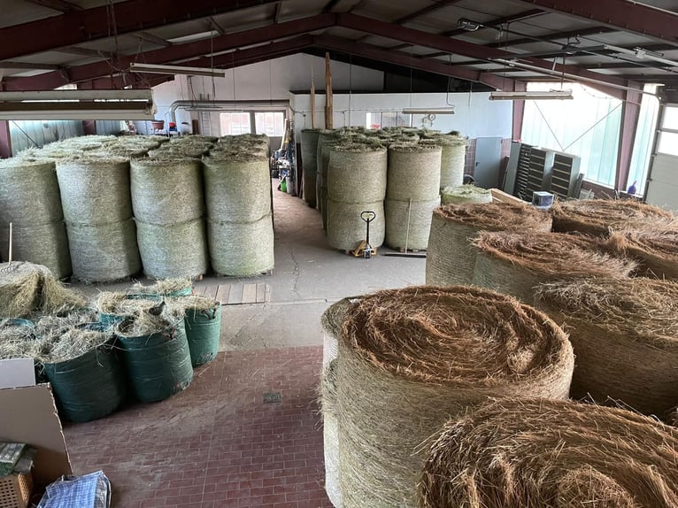 Casa residenziale (3 unità) con stalla aperta/box, paddock trail, area maneggio, capannone per offic