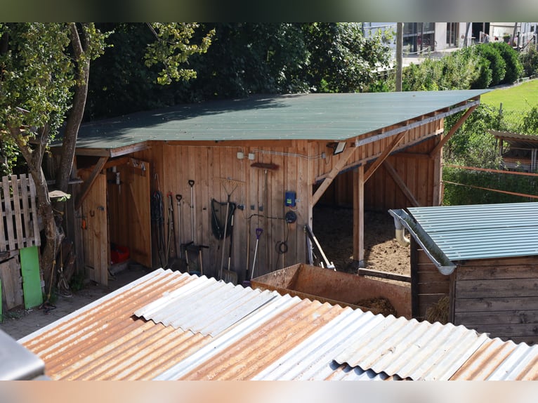 Casa unifamiliare di nuova costruzione con 2,5 unità abitative *accoglienza cavalli* 1.786 m² *senza