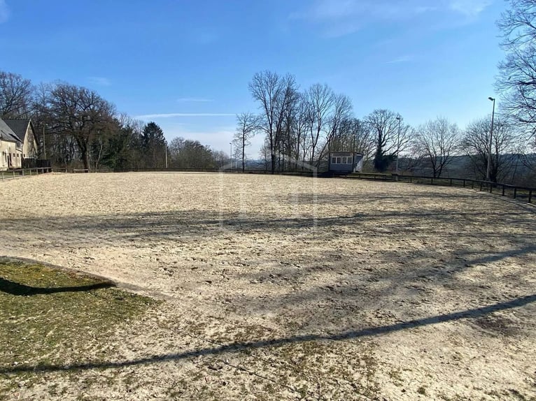 Centro equestre a Ibbenbüren