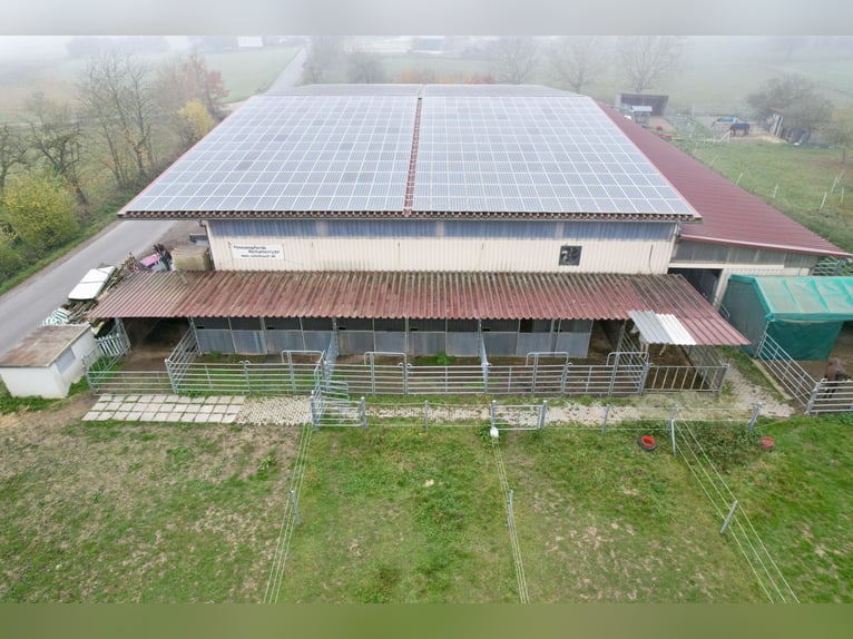 Centro equestre a Osterburken – ampie possibilità di utilizzo in una proprietà spaziosa
