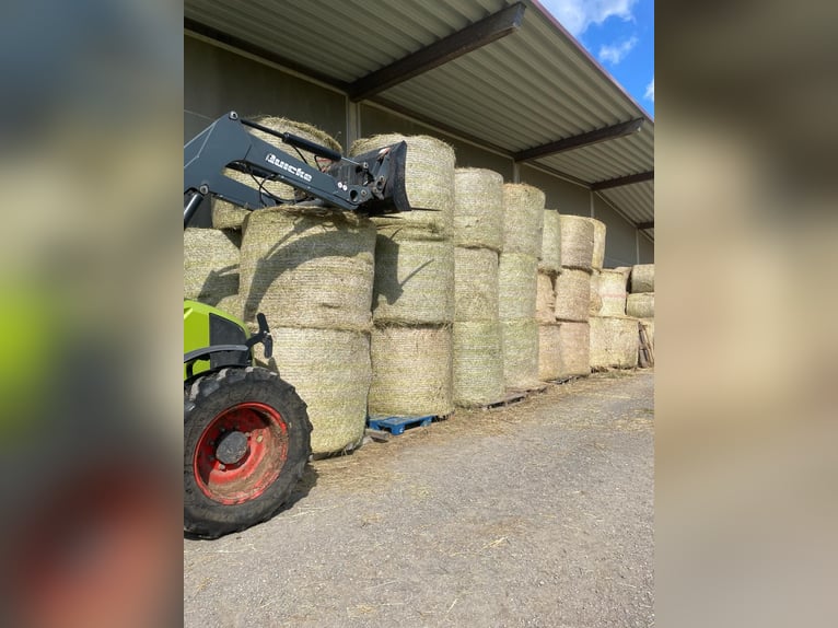 Centro equestre a Osterburken – ampie possibilità di utilizzo in una proprietà spaziosa